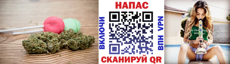 Cannafood конопля  купить  цена  Сокол 