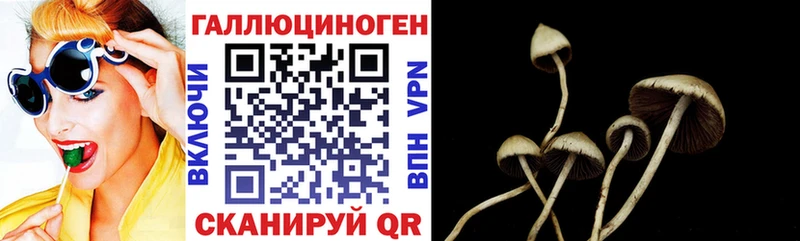 Галлюциногенные грибы Psilocybe  Сокол 